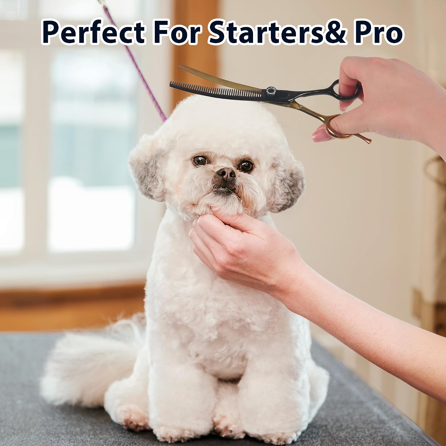 7" Curved Dog Grooming Scissors, 40 Teeth V-Shape, 30% Thinning shear | Black & Gold Pet Shear, Detail processing for refining styling, Pet Shear with Ergonomic Offset Handle, 6Cr13 Stainless Steel