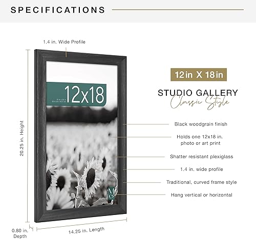 Vista 995 de MCS Studio Gallery Marco para póster de 16 x 24 pulgadas, imitación de veta de madera de color negro, colgar en horizontal o vertical, grande