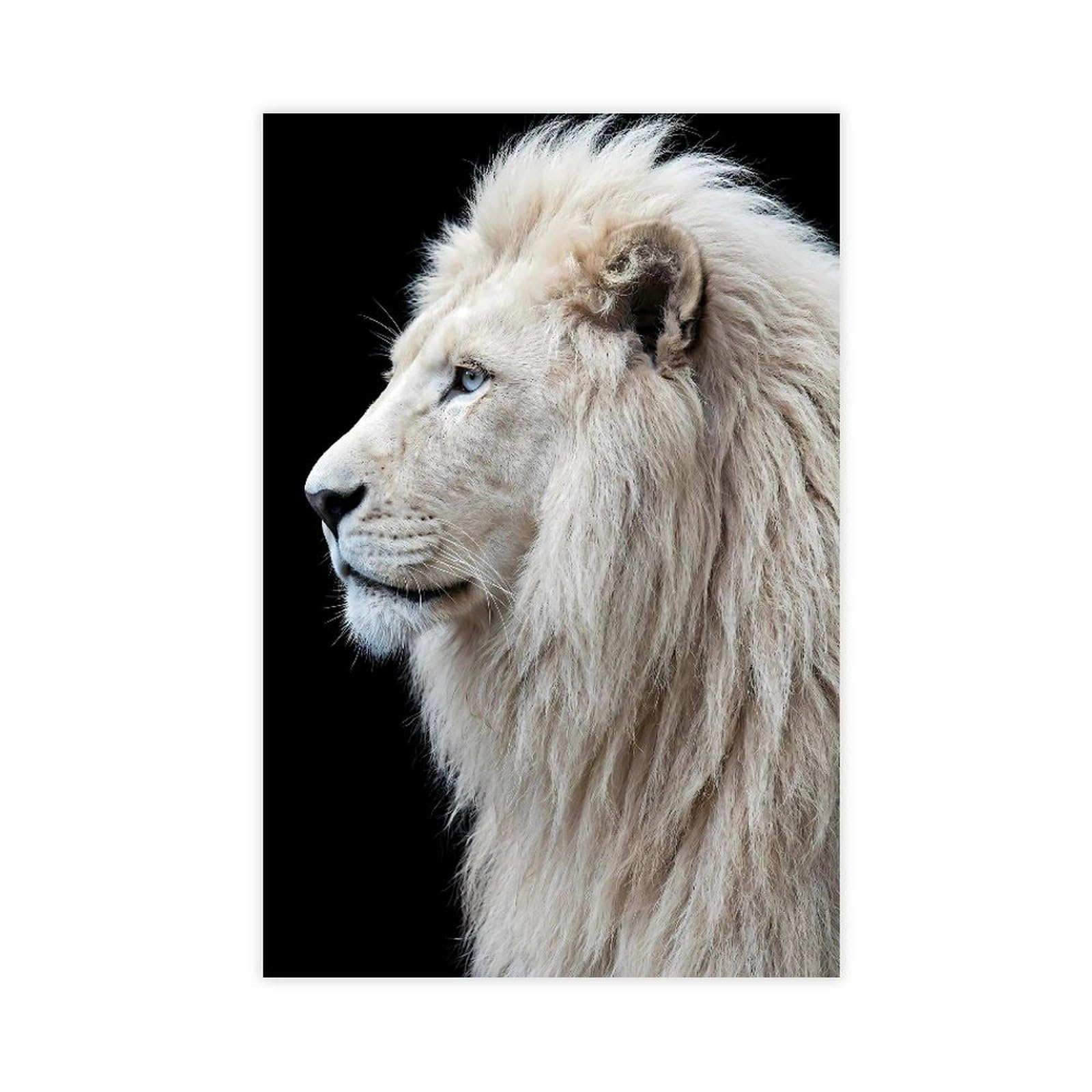 White Lion Head Portrait Poster Canvas Poster for Dorm Room Decor Gift