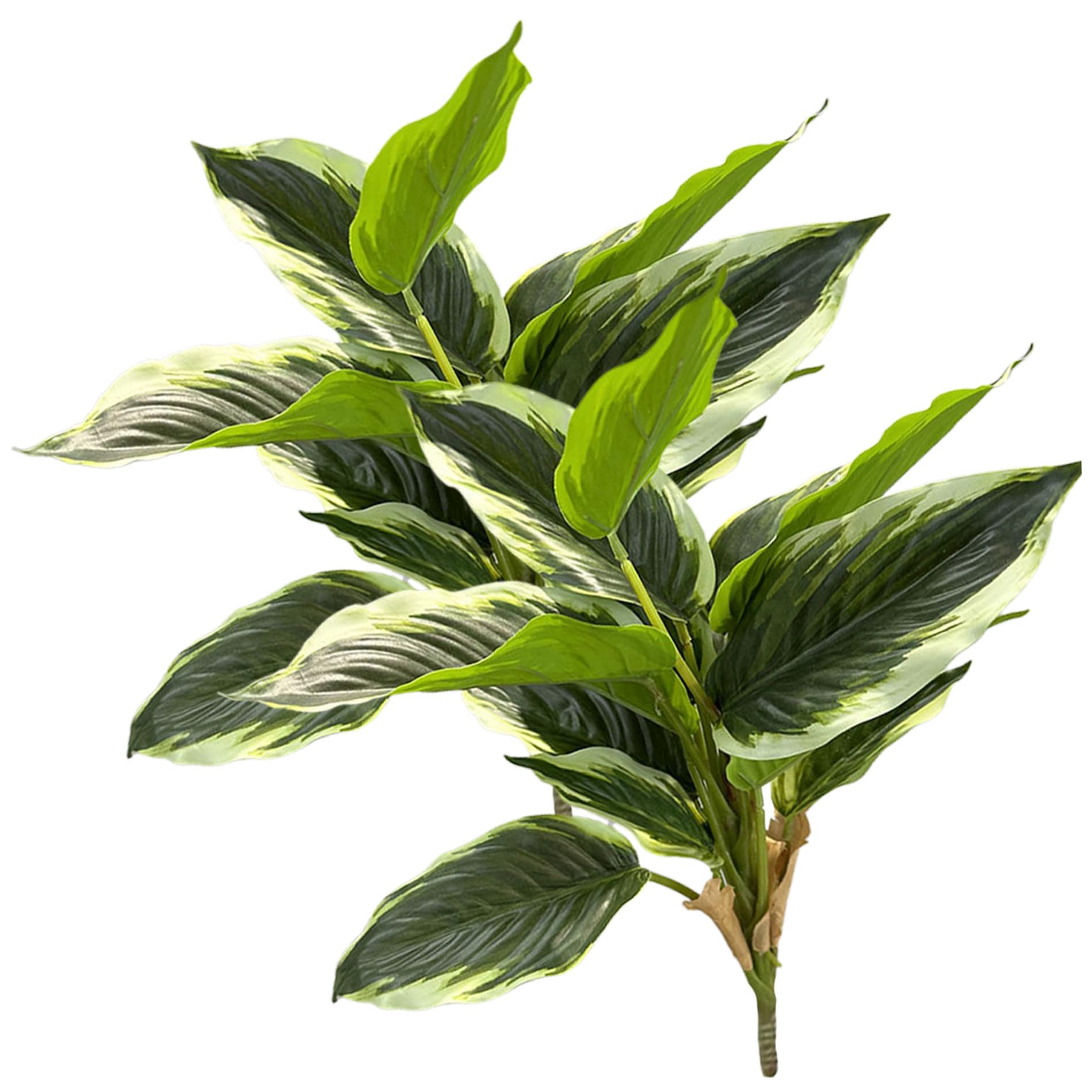 Hostas artificiels 45 cm Gcroet : lot de 2 plantes vertes dieffenbachia de 14 feuilles d'intérieur