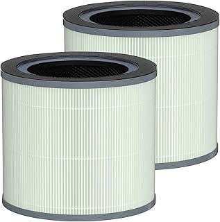 TR-8080 Replacement Filter Compatible with Dreamegg TR-8080 Air Purifier, 4-in-1 Filtration System with True HEPA Filter, 2 Pack
