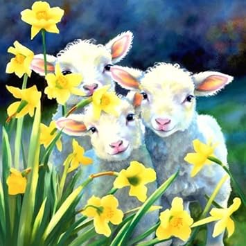 Bimkole 5D Diamond Art Kits for Adults Sheep, Full Drill Flower Animals DIY Rhinestone Embroidery Set Paint with Diamonds Art by Number Kits Cross Stitch Home Wall Craft Decoration 12x16 Inch