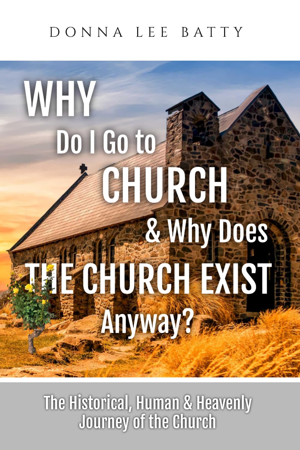 Why Do I Go to Church & Why Does the Church Exist Anyway?: The Historical, Human & Heavenly Journey of the Church
