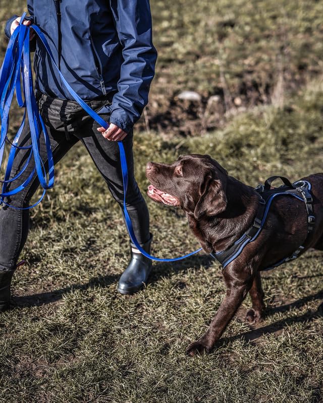 Martin Rütter – Hundeleine Schleppleine SoftVinyl 19mm breit Kobaltblau 10m lang – Dog Leash Wasser- & schmutzabweisend – Robuste Leine aus weichem PVC für Hunde – Pflegeleicht, hygienisch & UV-fest