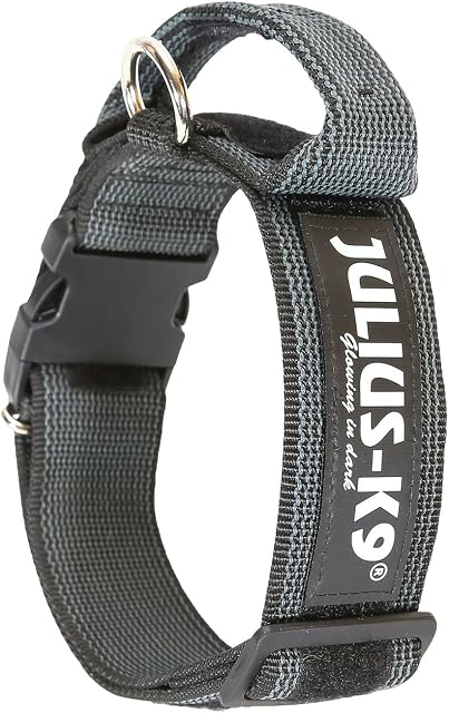 Julius-K9 Colour and Gray Collar with Handle, Safety Lock and Interchangeable Patch, 40 mm (38-53 cm), Black-Gray