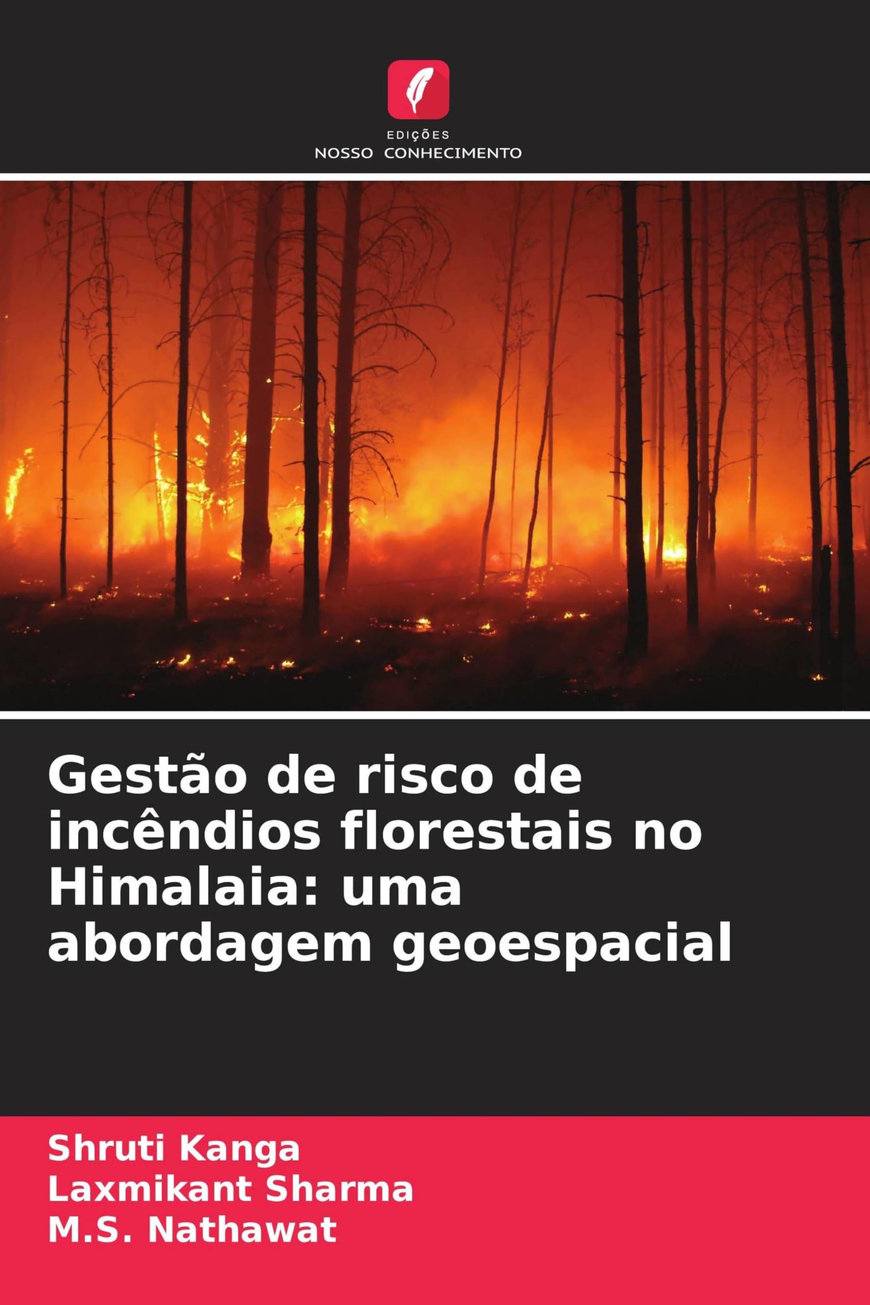 Gestão de risco de incêndios florestais no Himalaia: uma abordagem geoespacial
