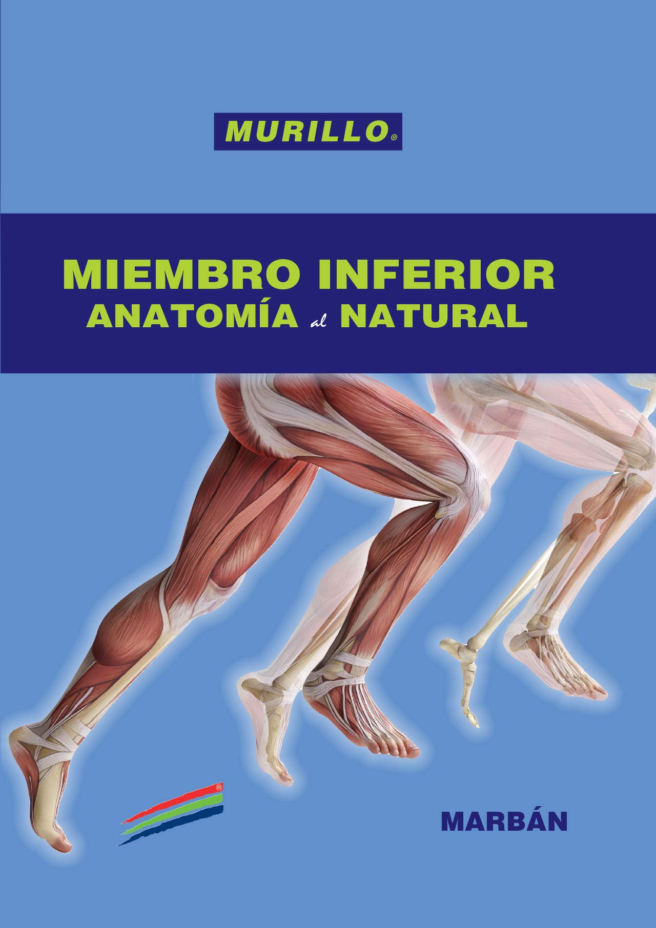 Miembro Inferior Anatom¡a al Natural
