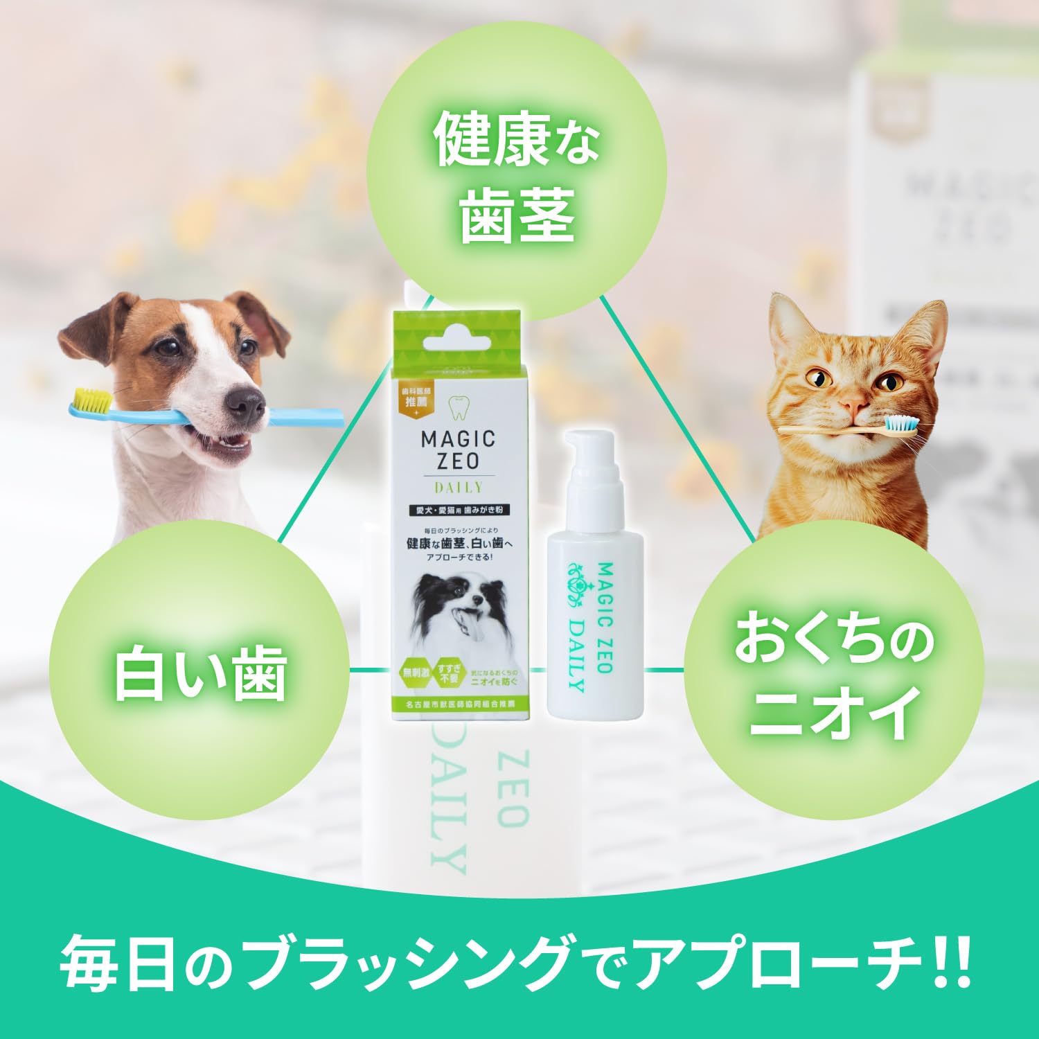 Amazon.co.jp: EDOG JAPAN マジックゼオデイリー 40mL 歯磨き粉 歯石