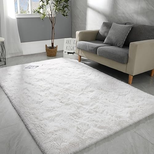 Hutha 4x6 Large Area Rugs for Living Room, Super Soft