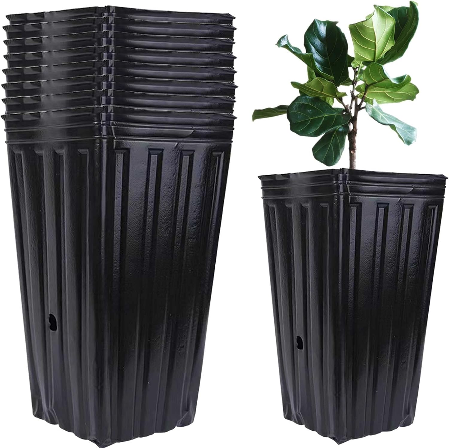 YXTII 10Pcs Tree Pots Seedling Tall Nursery Pots Tall Tree