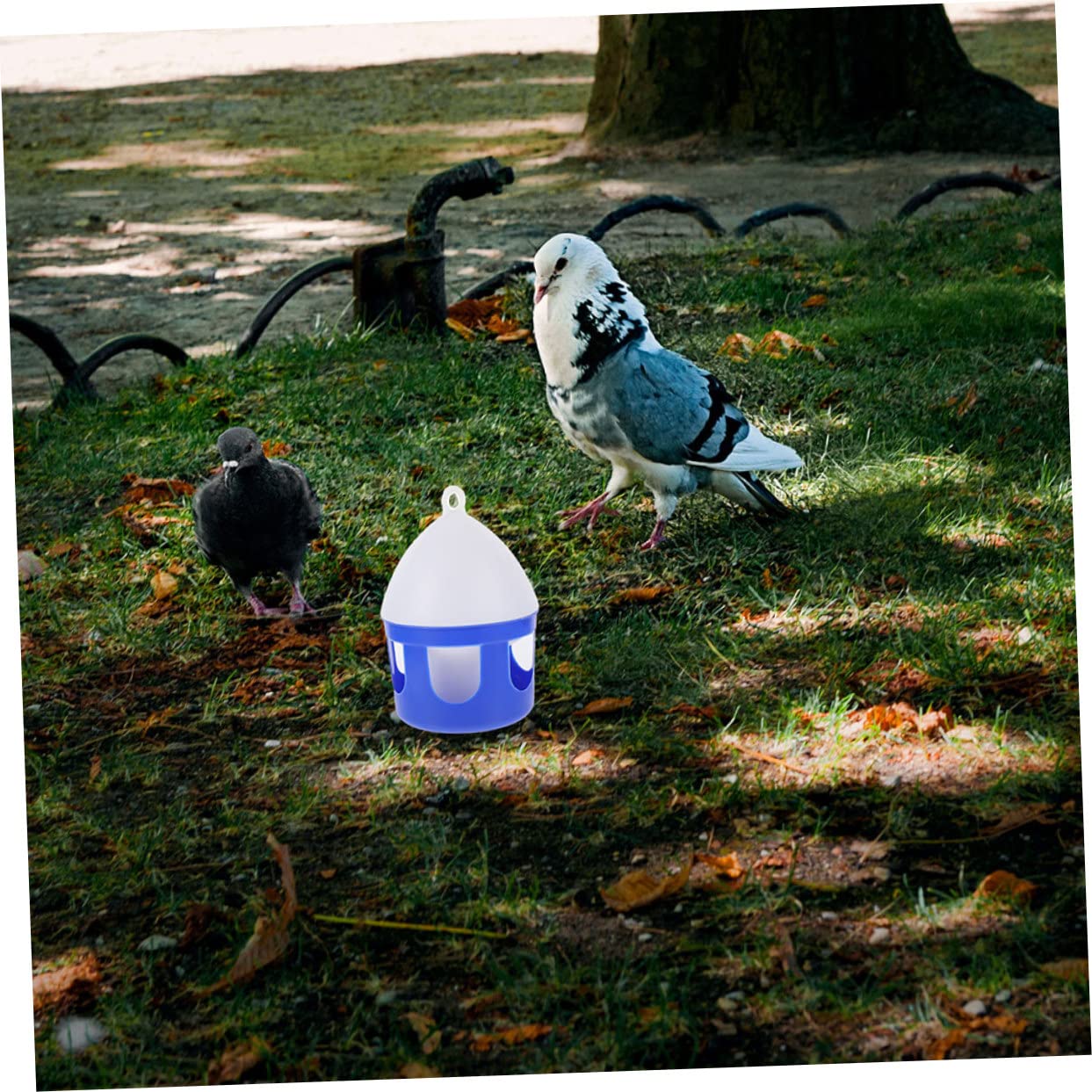 Abreuvoir Portable pour Oiseaux 2 Pièces PVC 2l Réutilisable