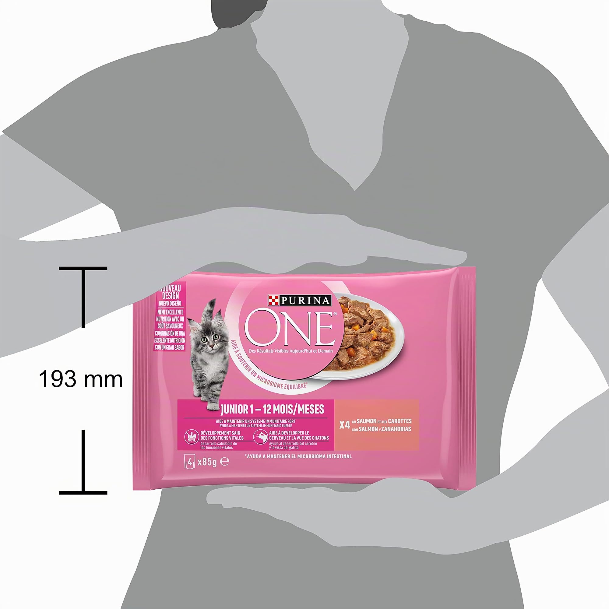 Purina ONE comida húmeda gato Junior Salmón 48x85 g