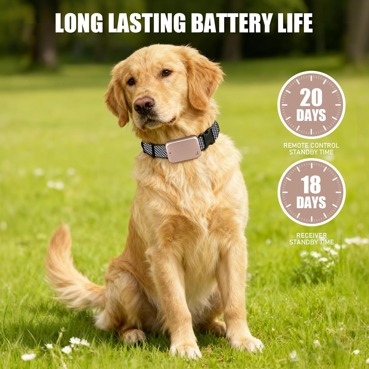Dog Training E-Collar with Remote 3280FT,4 Modes Static Correction/Beep/Vibration/Light,IP67 Waterproof Rechargeable Behavior Control Collar for Small Medium Large DogsPink
