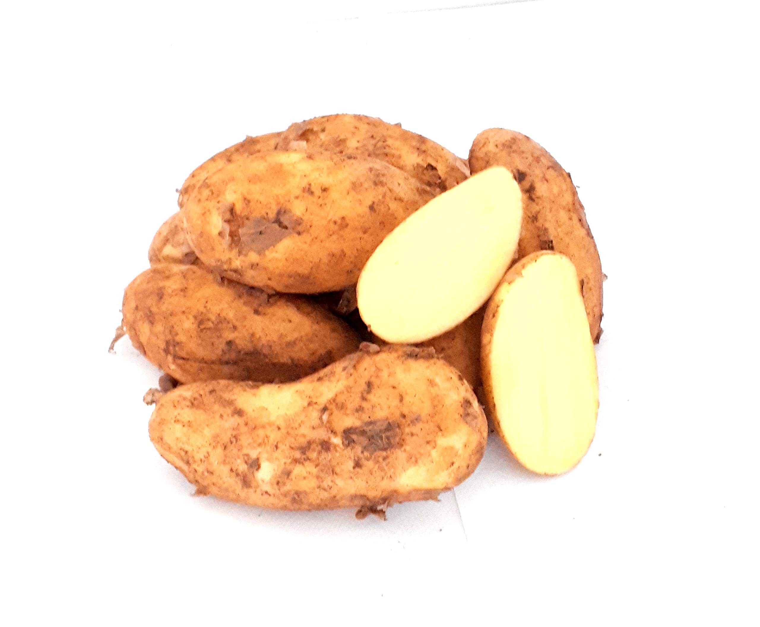 Kartoffeln Speisekartoffeln Annabelle 1-25 KG frische Ernte 2025 festkochend Salatkartoffel zum Grillen für Kartoffelsalat, Pellkartoffeln, Bratkartoffeln, Pommes Frites, Butterkartoffeln (10)
