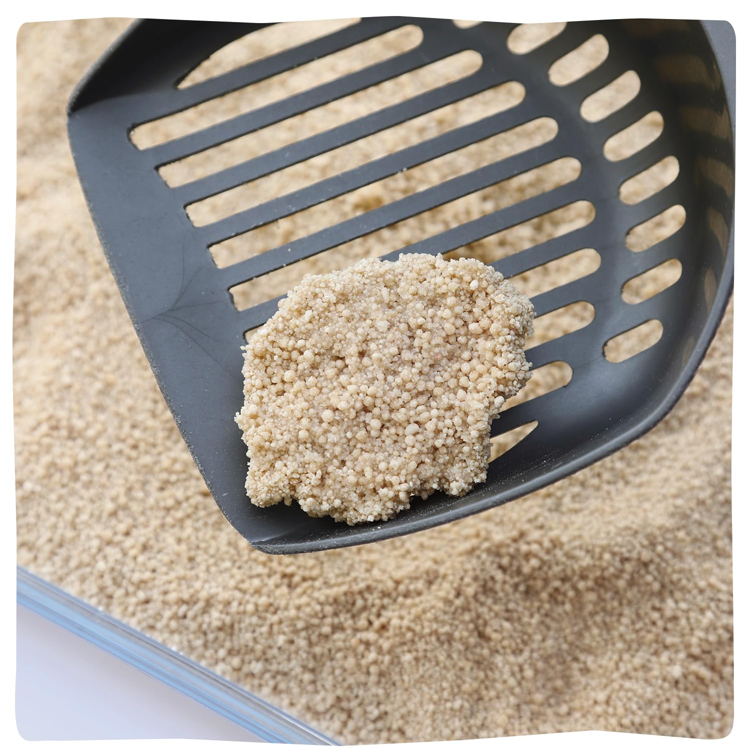 Lettiera Per Gatti Meow Tai Eco Agglomerante - Da Manioca, Senza Polvere E Biodegradabile, 10L - Foto 7