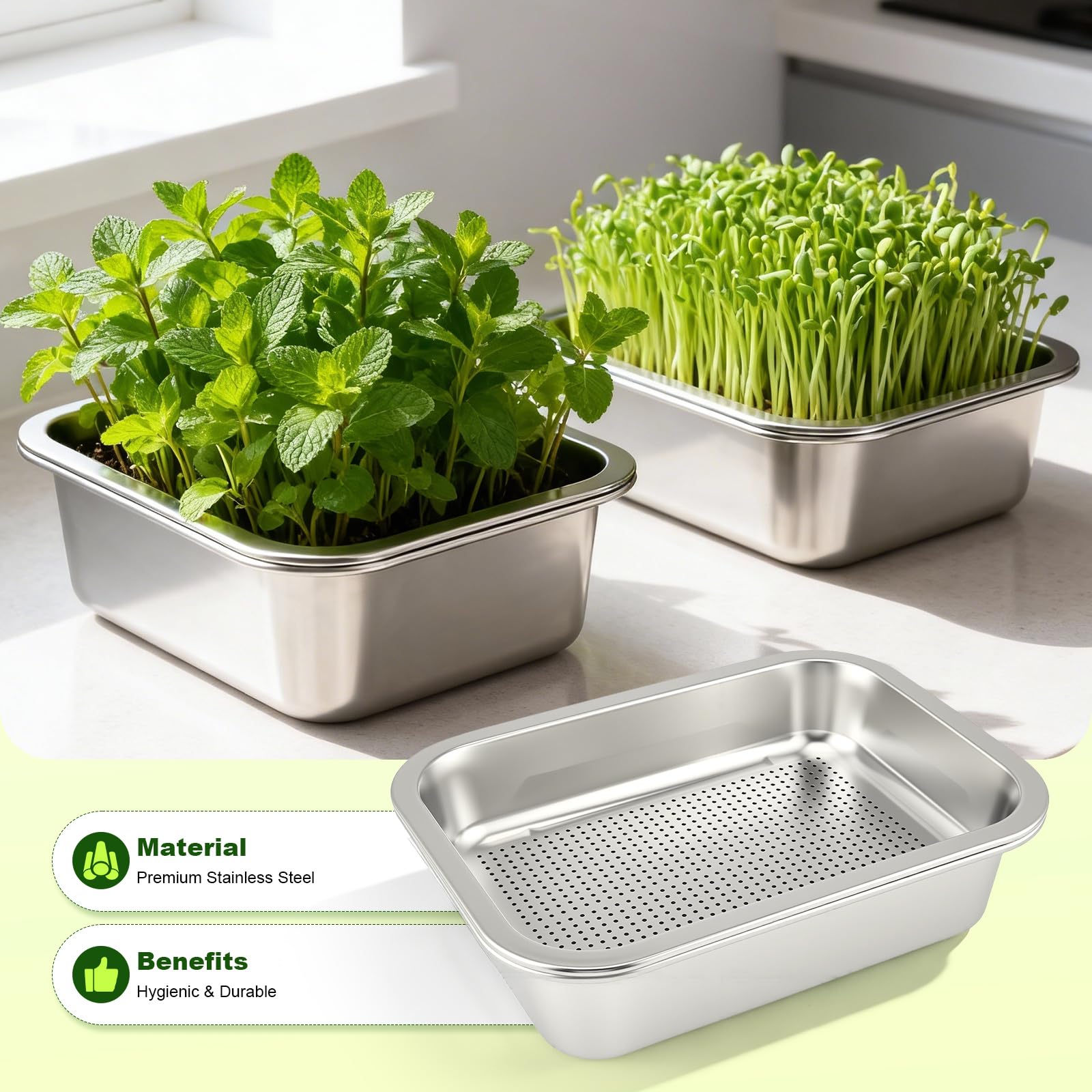 Lot de 2 Plateaux de Germination Graines en Acier Inoxydable, Kit Germoir INOX pour Microgreens,Culture Hydroponique sans Terre,Bac à Germes Réutilisable pour Cresson,Roquette et Pousses de Légumes