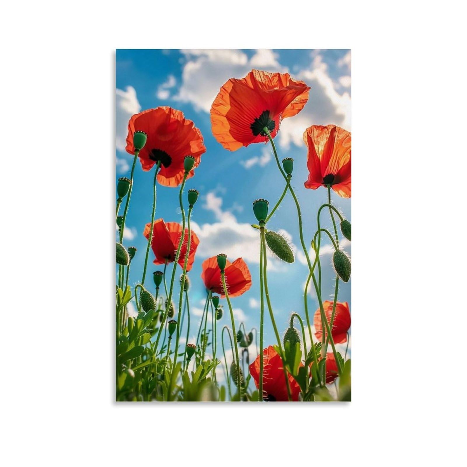 Hueryryhy Unframe-Style 24X36inch Vibrant Red Poppies Framing Golden Hour Cloudscape 02 Poster Wall Art Canvas Vintage Aesthetic Painting Decor For Rooms 24X36inch Unframe-Style