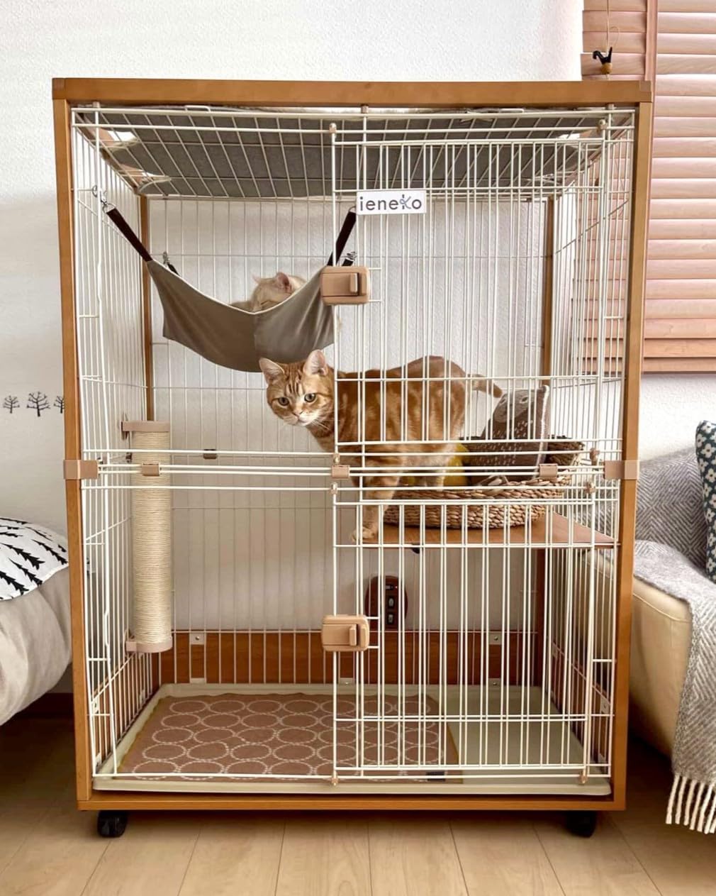 Amazon | ieneko 猫 ケージ 2段 おしゃれ 木製 幅広96cm 大型 横