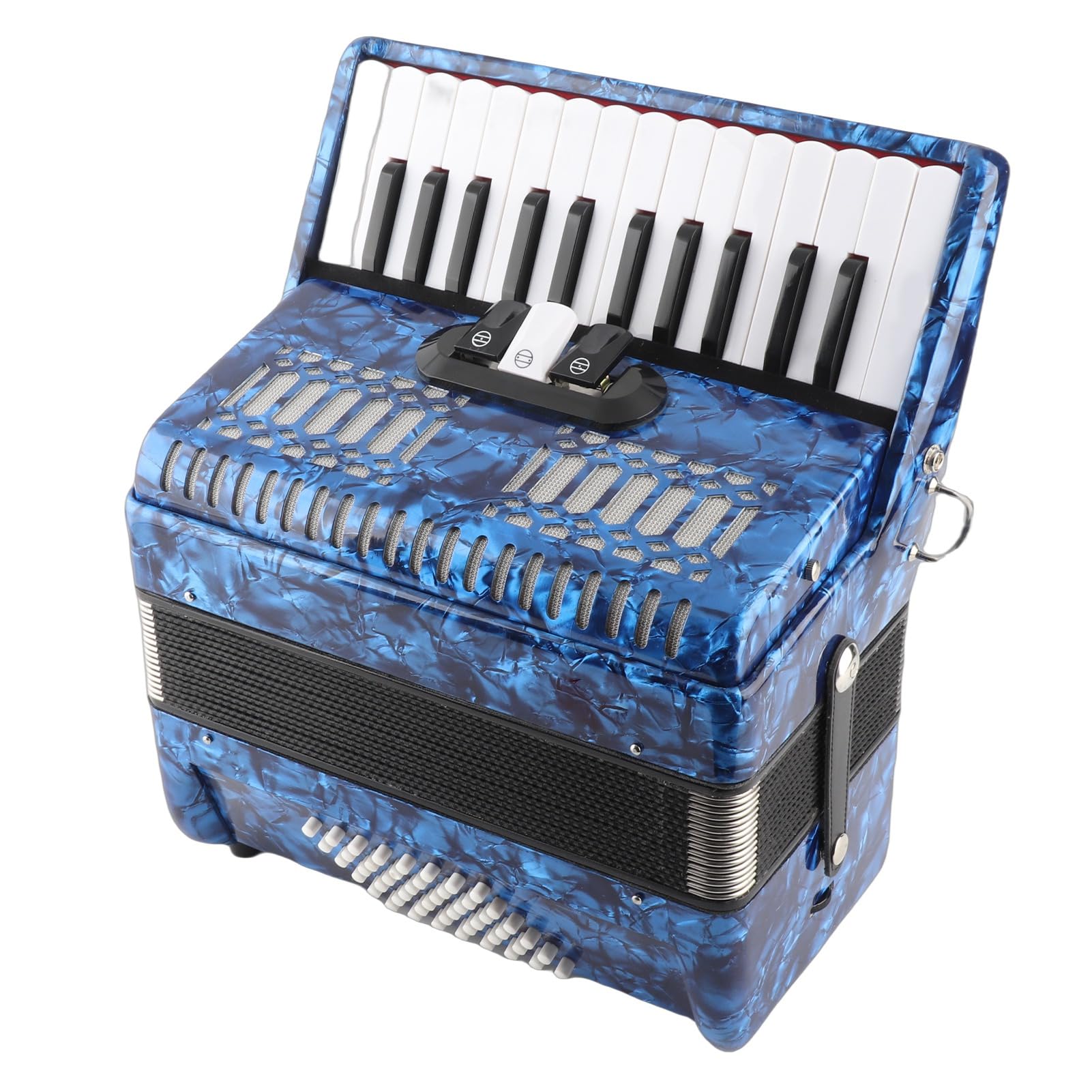 Fisarmonica a Piano, 26 Tasti 48 Bassi con Ance Importate Soffietti Pelle Bovina Fisarmonica in Celluloide per Principianti Spettacoli Teatrali Eventi Musicali Live