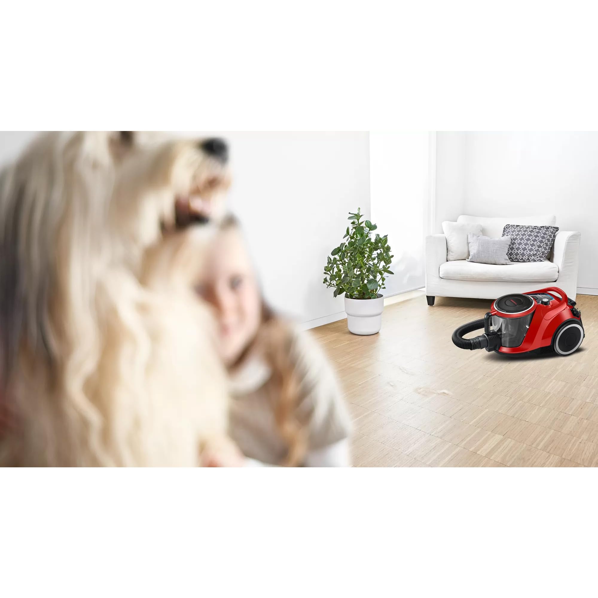 Bosch Aspirapolvere senza sacchetto serie 6 BGC41PET, ideale per peli di animali e persone allergiche, filtro igienico, garanzia motore 10 anni, per parquet, tappeti, piastrelle, ugello turbo