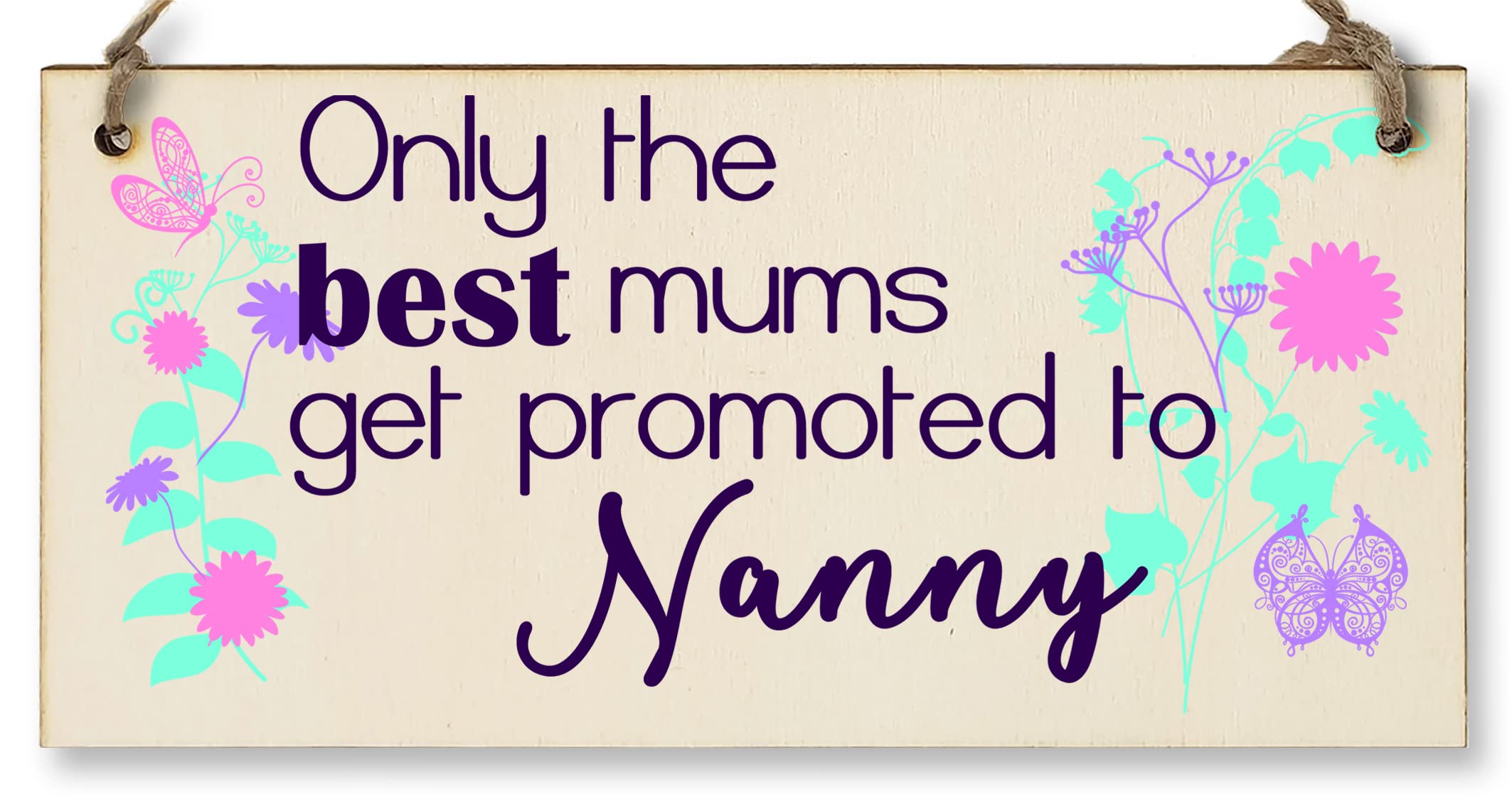 The Plum Penguin Transparent Handmade Wooden Hanging Wall Plaque Only The Best Mums Promoted To Nanny Sentimental Gift For Grandparents