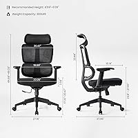 Vista 2 de EUREKA ERGONOMIC Lena Silla de oficina de malla, silla de oficina ergonómica, silla de escritorio con respaldo alto con reposacabezas de gran