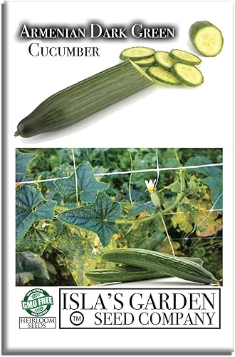 Semillas de pepino armenio verde oscuro (Cucumis sativus) – Más de 100 semillas de reliquia sin OMG de Isla's Garden Seeds, pepinos crujientes y