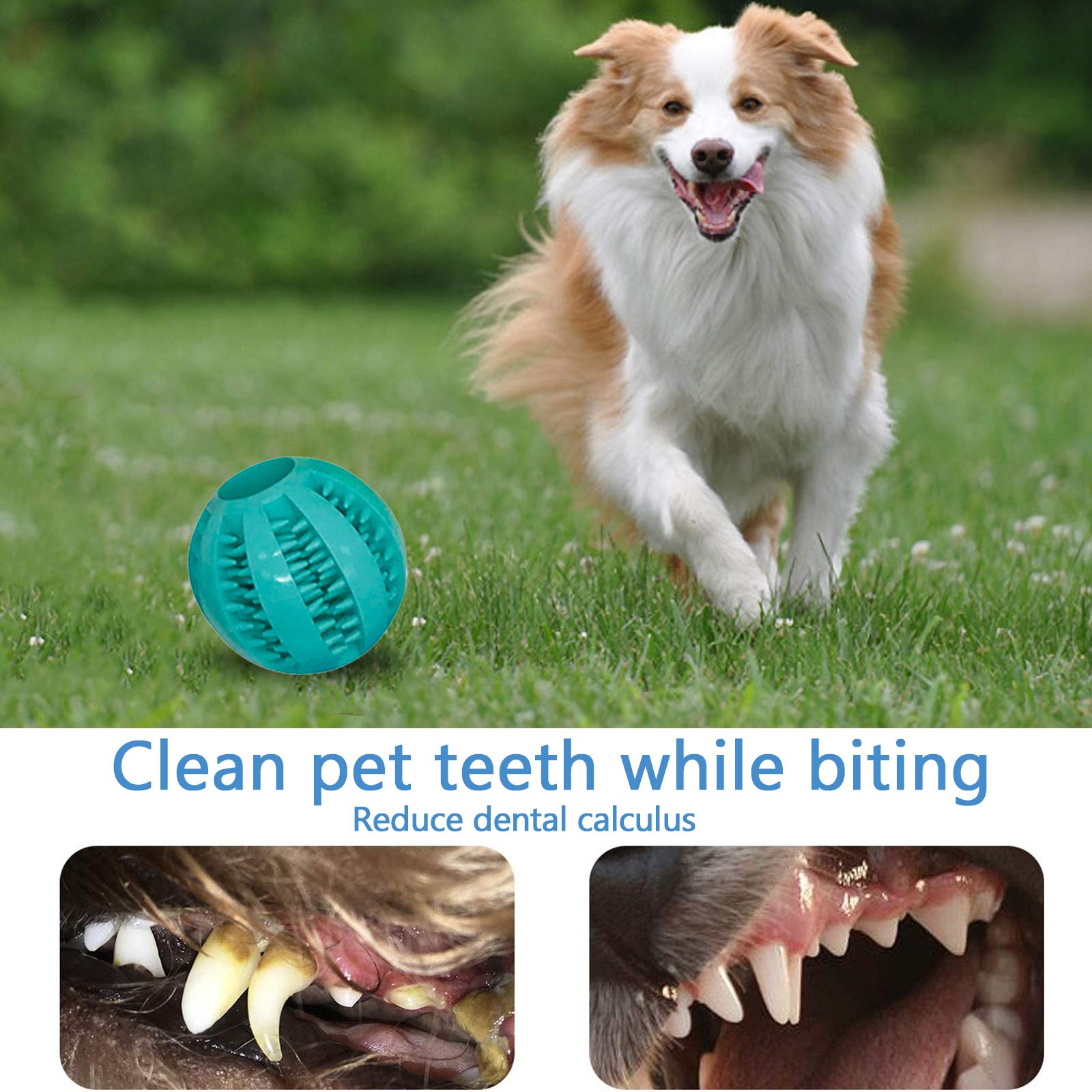 McNoryCane Cotone Naturale, Corda da Masticare Resistenti e Lavabili per la Pulizia dei Denti, Corda per Cane Grande e Cucciolo (15 Pezzi)