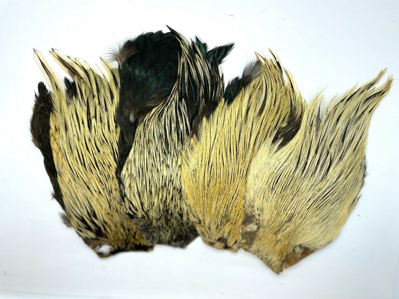 Cock Neck Feather Natural Colours for Fly Tying, Art and Craft (A) (Badger)