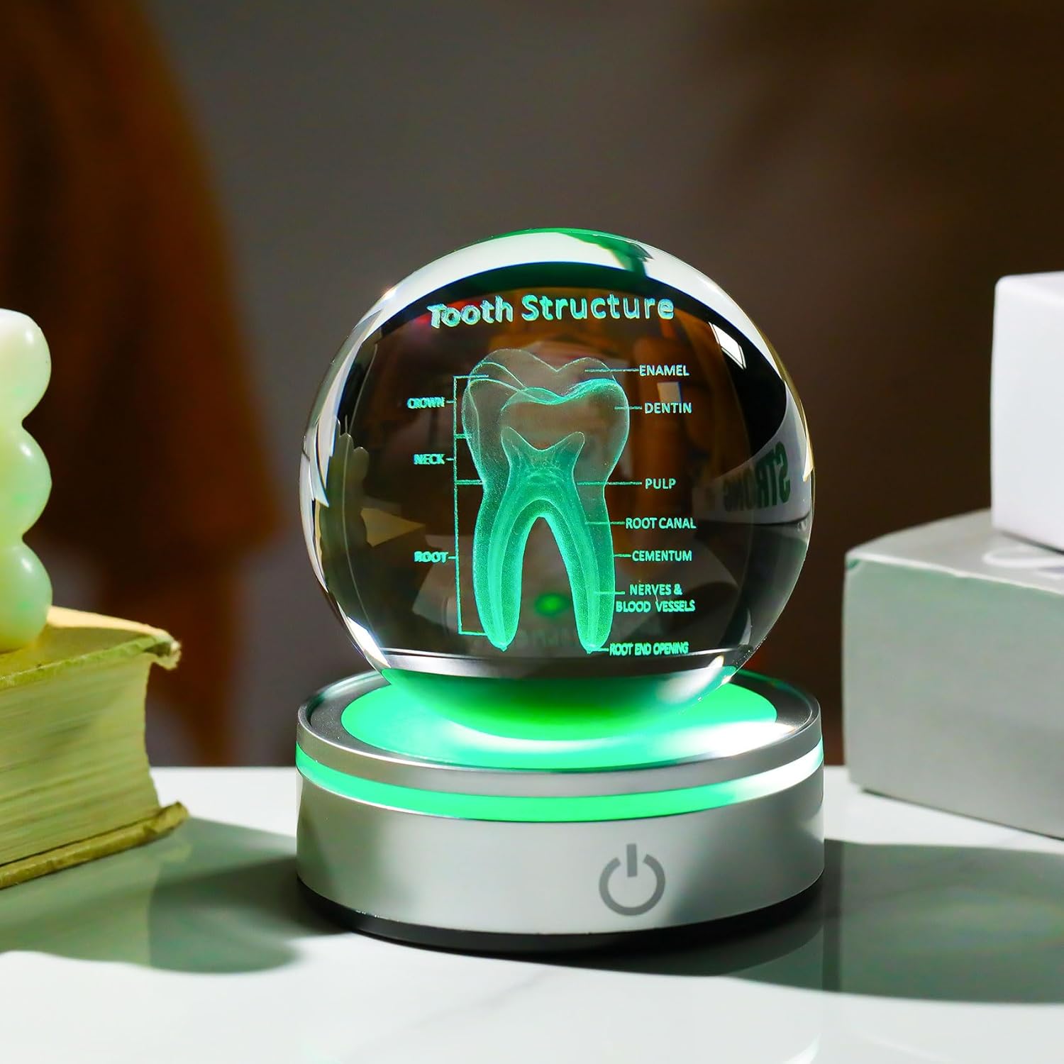 Enjinkail Tooth Model 3D Crystal Ball Dental Gifts for Women Men, Dentist Hygienist Present Office Decor with Led Base, Laser Etched Figurine Tooth Gift for Dental Student on Graduation Christmas