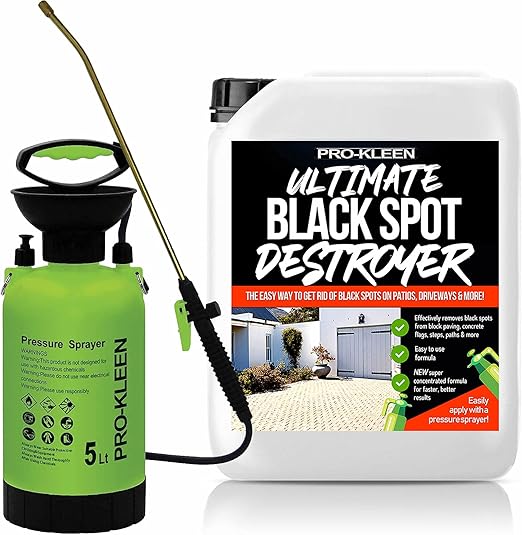ProKleen Patio Cleaner Garden Pump Pressure Sprayer With Brass Lance