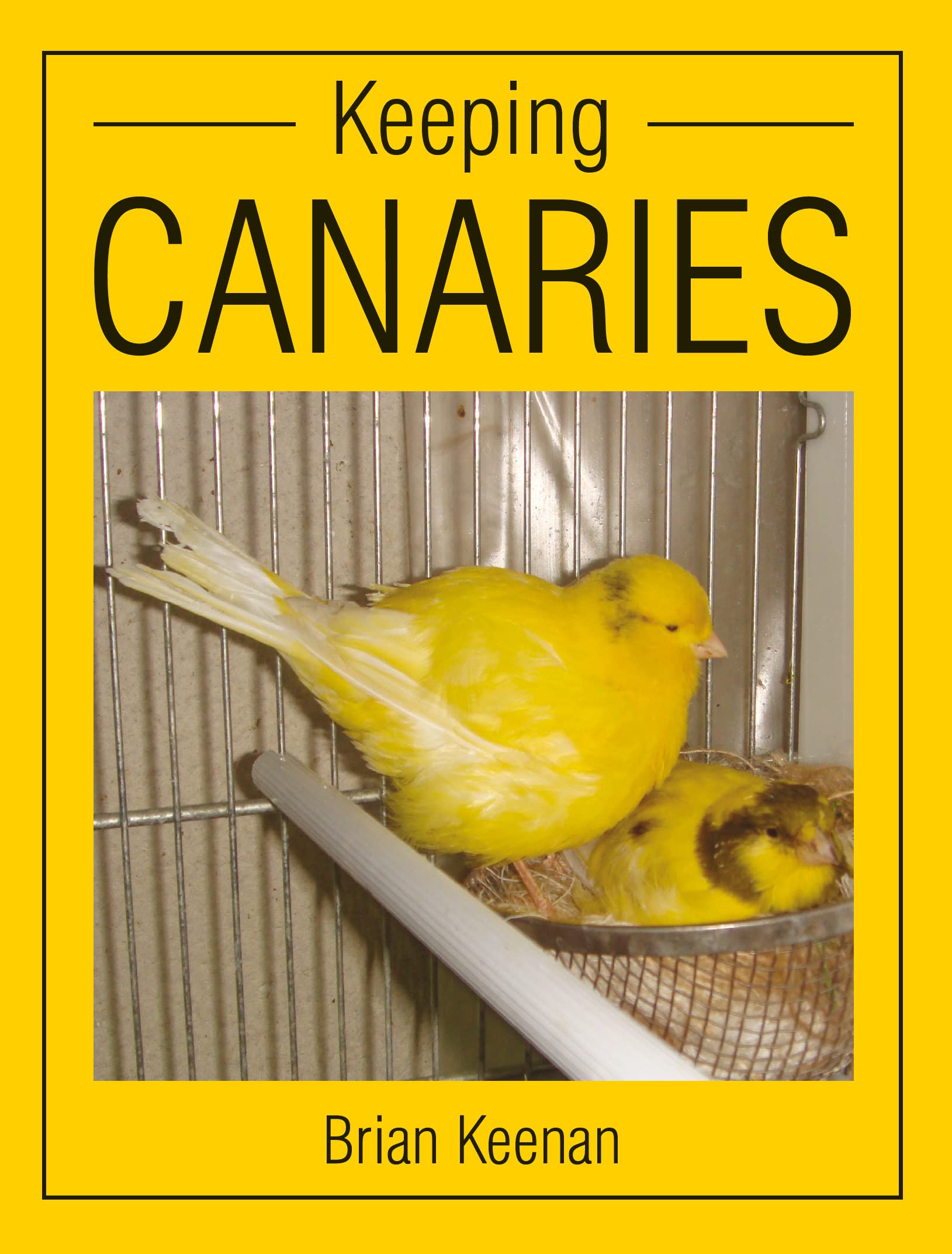 Keeping Canaries by Brian Keenan - 9781847972996