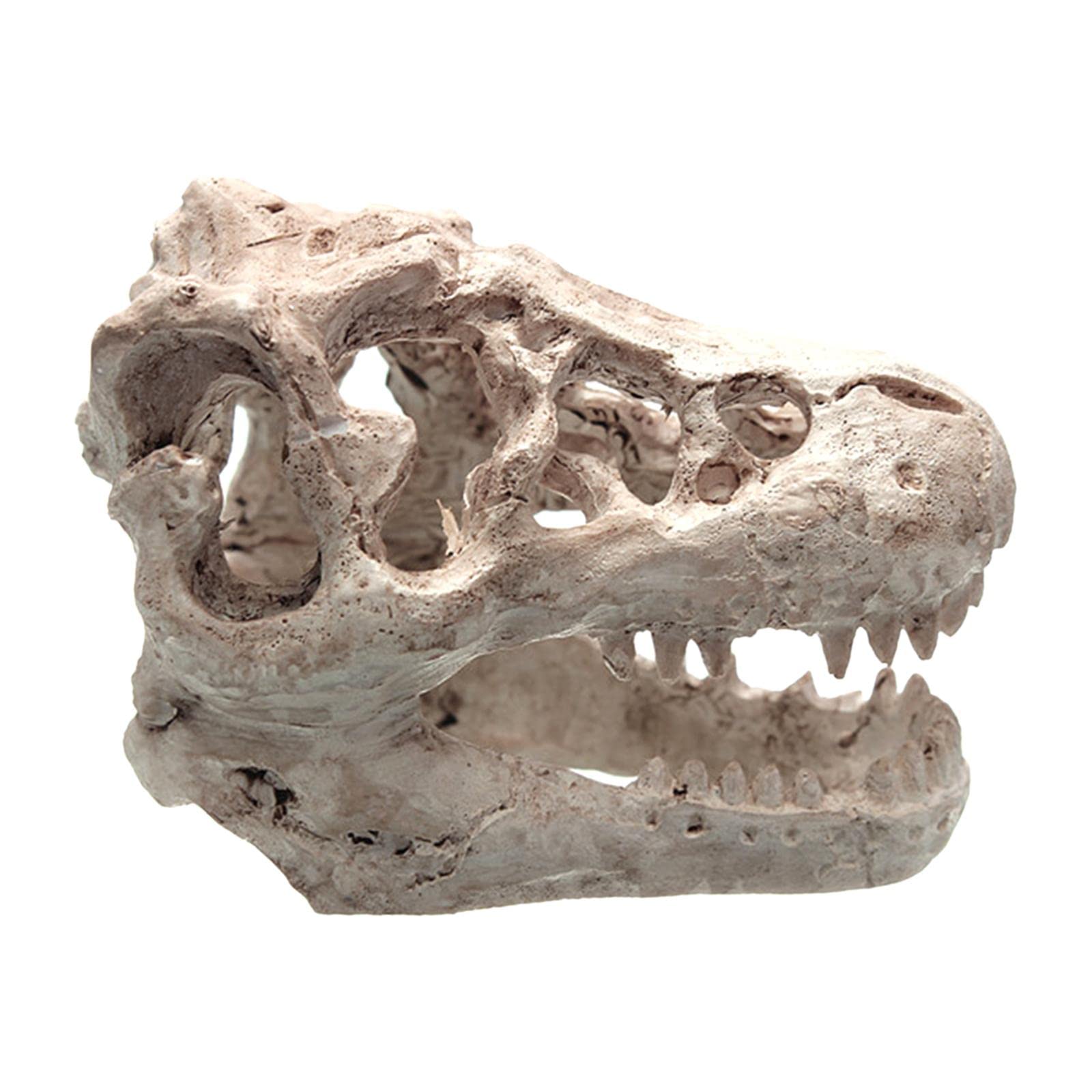 CALANDIS Aquarium Dinosaur Skull Head Decoration Fish Tank Dinosaur Skull Model | Home & Garden | Home D?©cor | Figurines