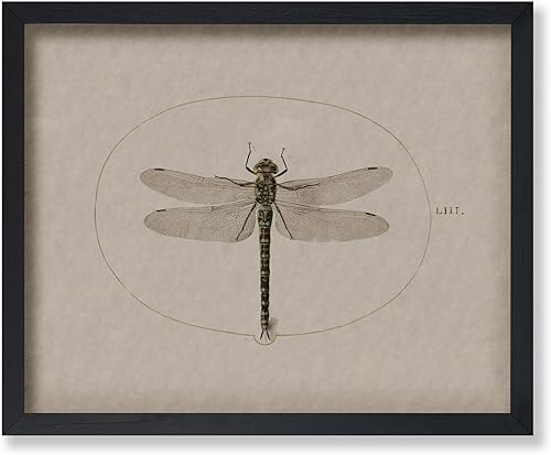 Poster Master Póster vintage de libélula, impresión retro de artificio de insectos, arte de insectos, gran regalo para hombres, mujeres, amantes de