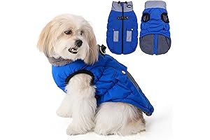 Gyuzh Dog Coat with Harness: A Versatile Winter Companion for Your Furry Friend