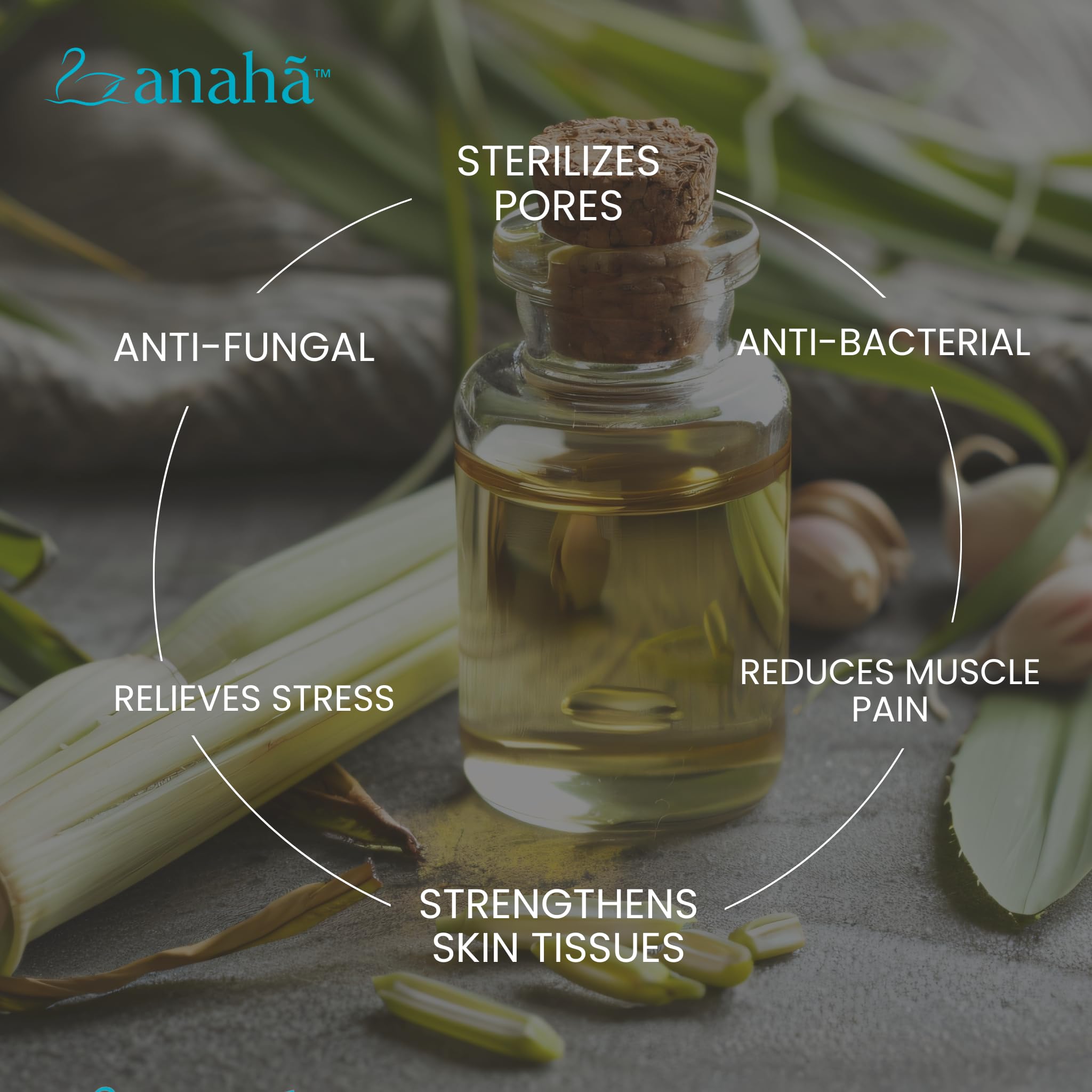 Anaha Lemongrass Essential Oil (30 ml) | Indian-Origin, 100% Pure, Steam Distilled | Therapeutic Grade Perfect for Skin, Hair and Diffusers | Natural Insect Repellent | Glass Bottle with Dropper 1
