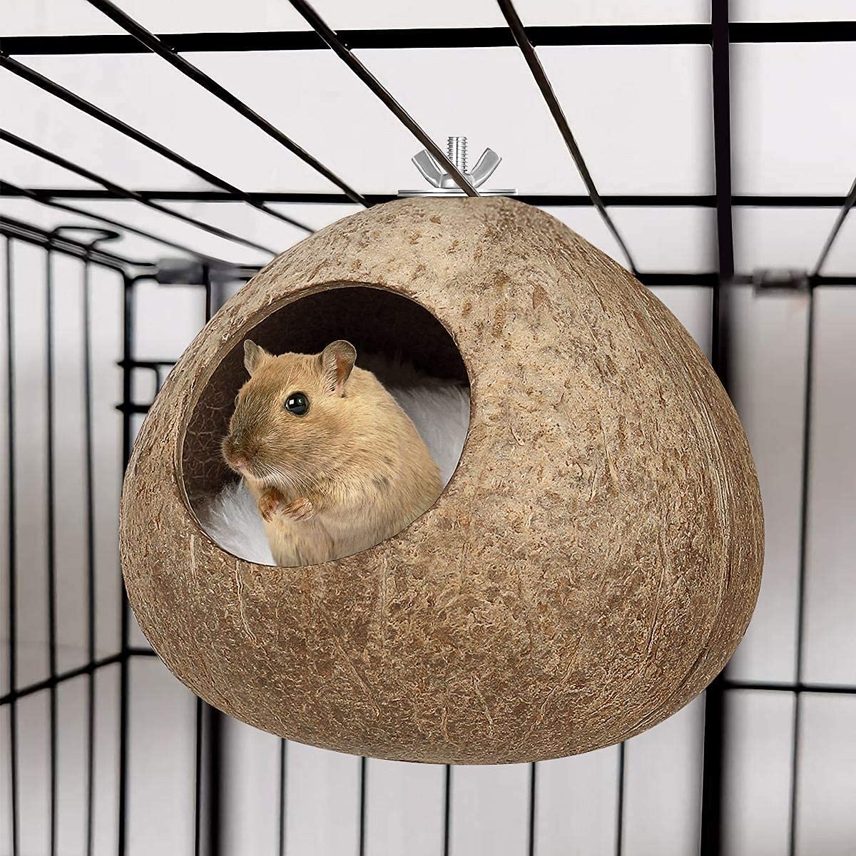 Nido de Loro Nidos de Pájaros Hamaca de Aves Artesanías Delicado Colgante de casa de pájaro cáscara de Coco Mascota Nido de pájaro hámster Nido de cría de Ardillas para Animales pequeños