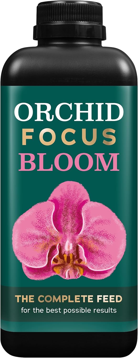 Green A Orchid Focus Bloom 1 Litre