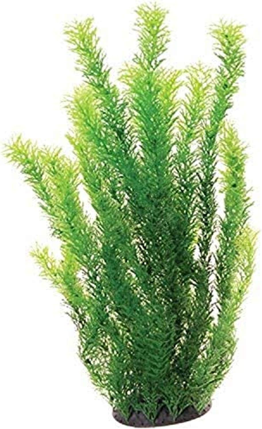 Underwater Treasures 20768 Cabomba, 20"