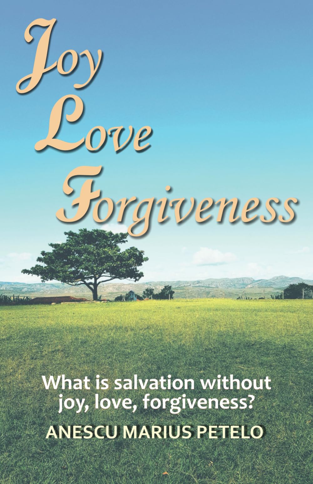 Joy, Love, Forgiveness: What is salvation without joy, love and forgiveness?