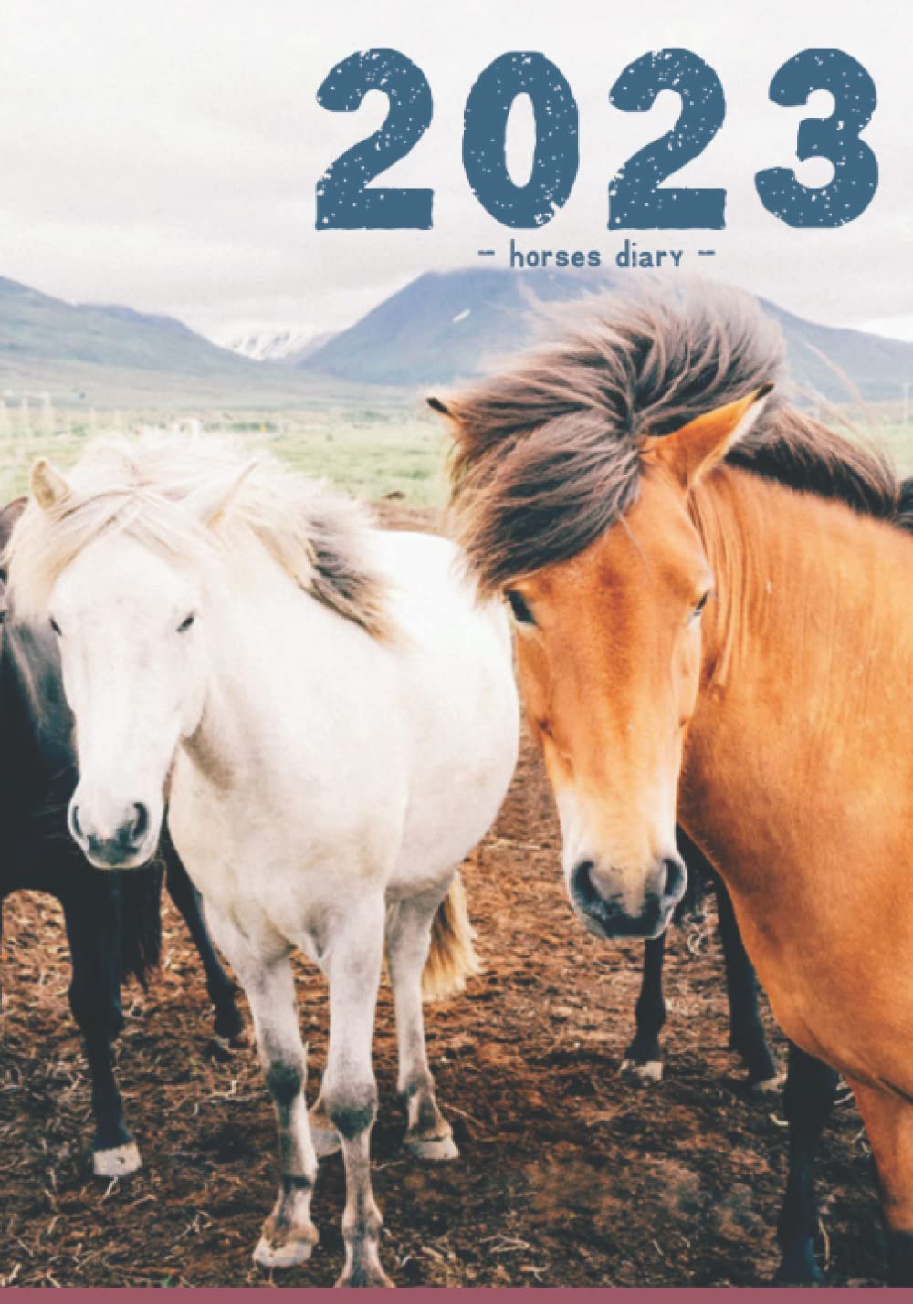 Buy Horses Diary 2023 Week to view, with sections for 'Priorities' and