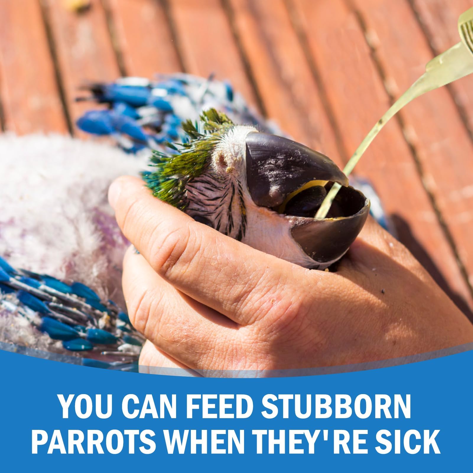 10 Alimentatori Per Uccelli Con Siringa 10ml - Per Pappagalli, Piccioni, Passeri - Foto 9