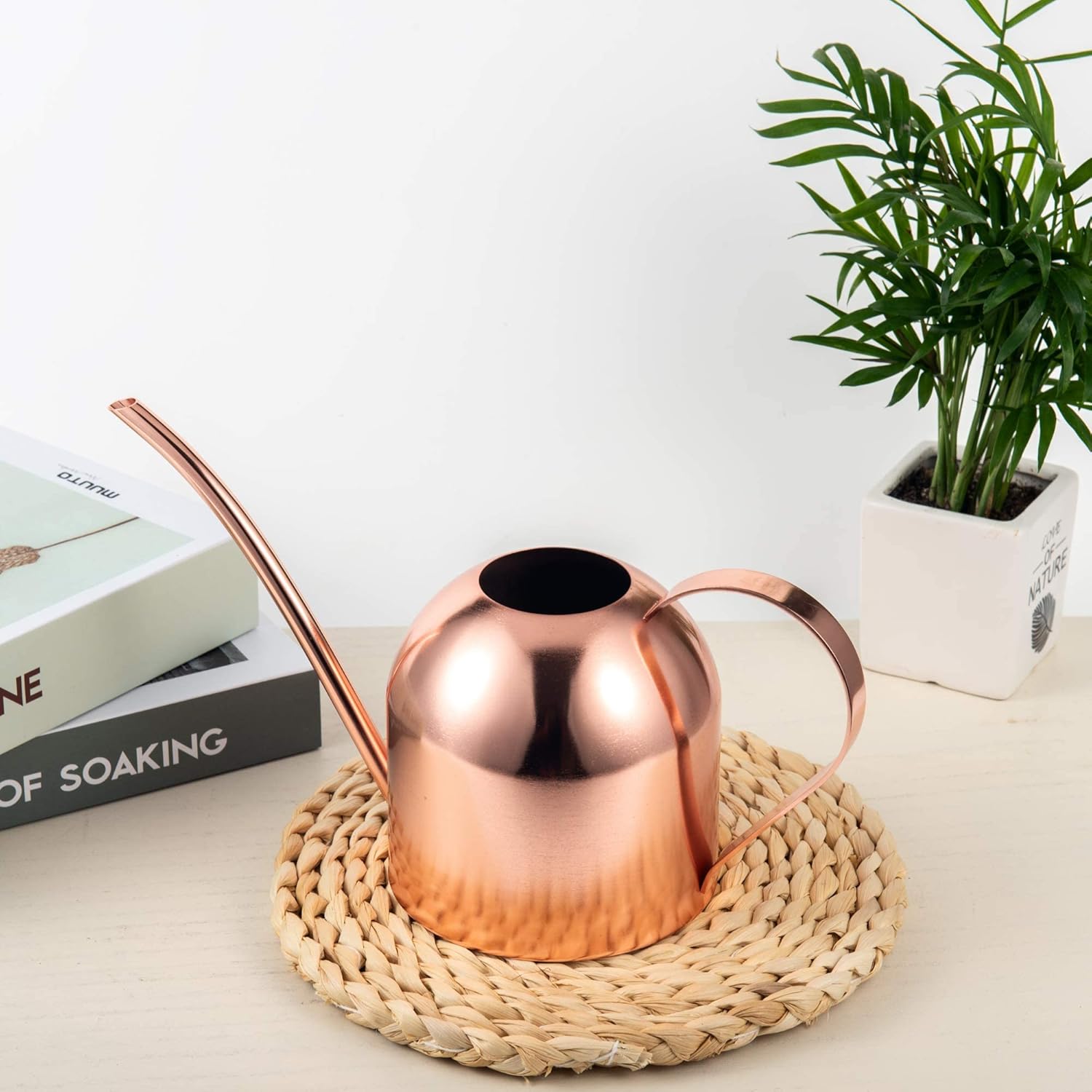 IMEEA Indoor Watering Can for House Plants 33oz/1L Stainless Steel Watering Can with Long Spout for Succulents, Bonsai