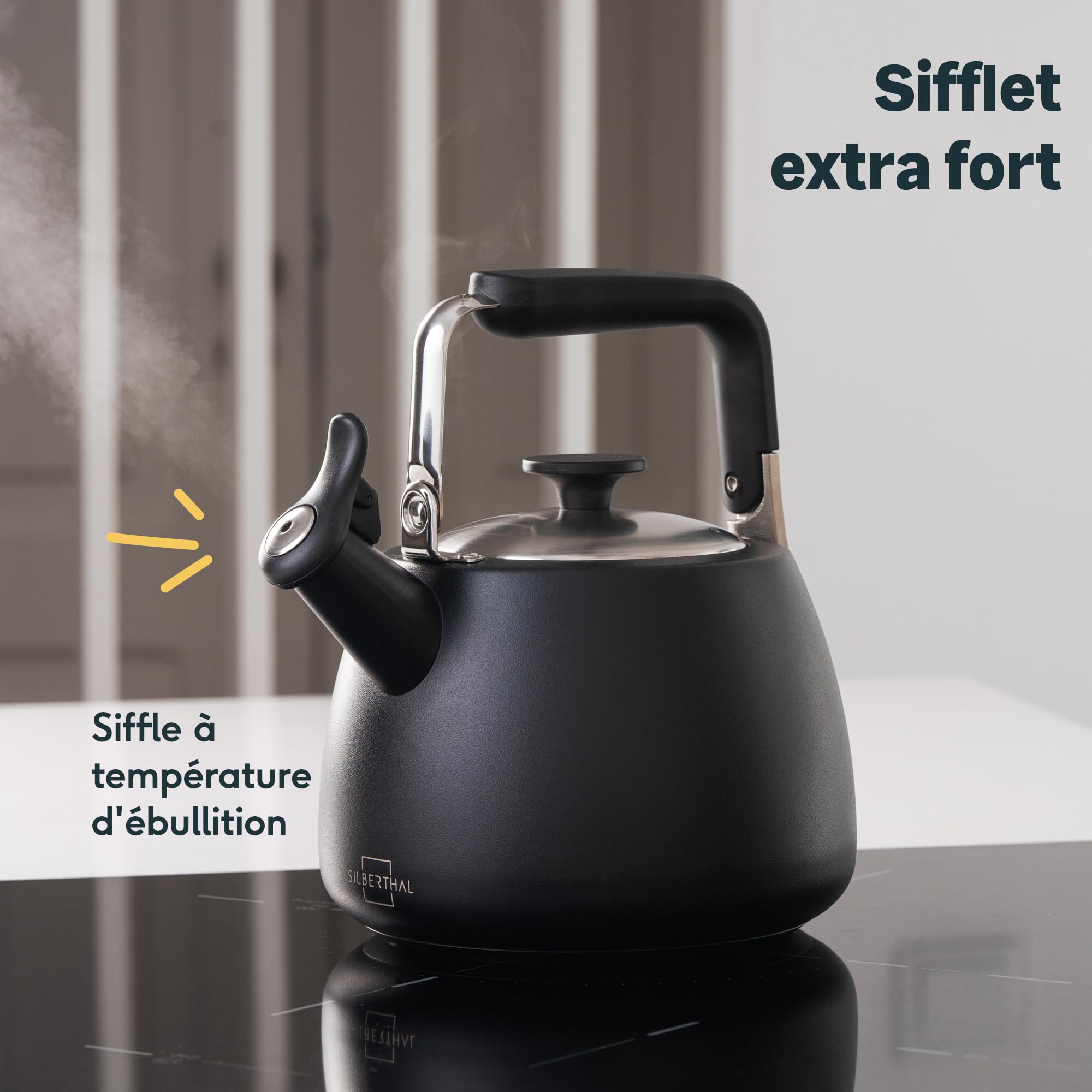 Silberthal Bouilloire à induction 2,8 l sifflante en acier inoxydable - Bouilloire pour camping - Noir