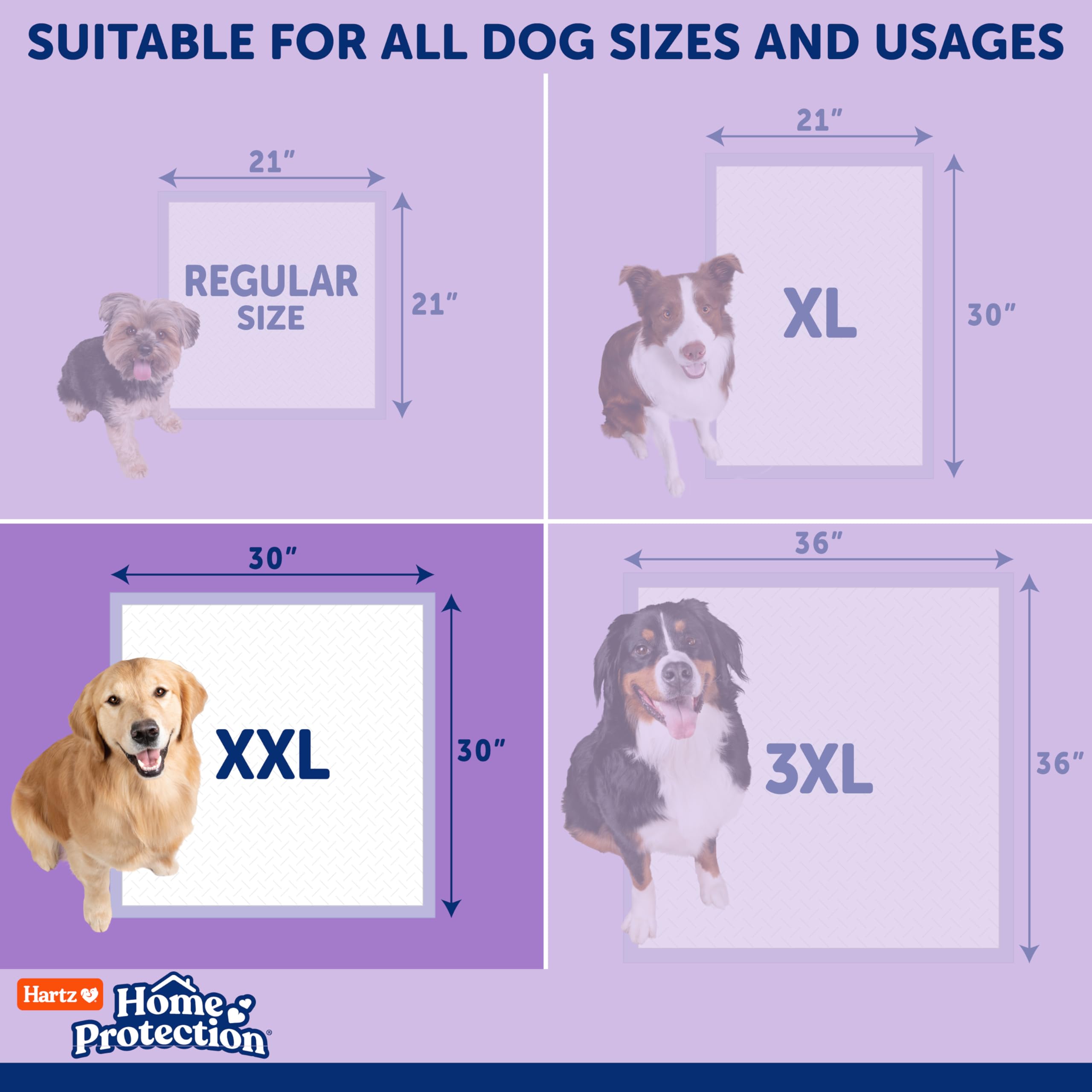 View 7