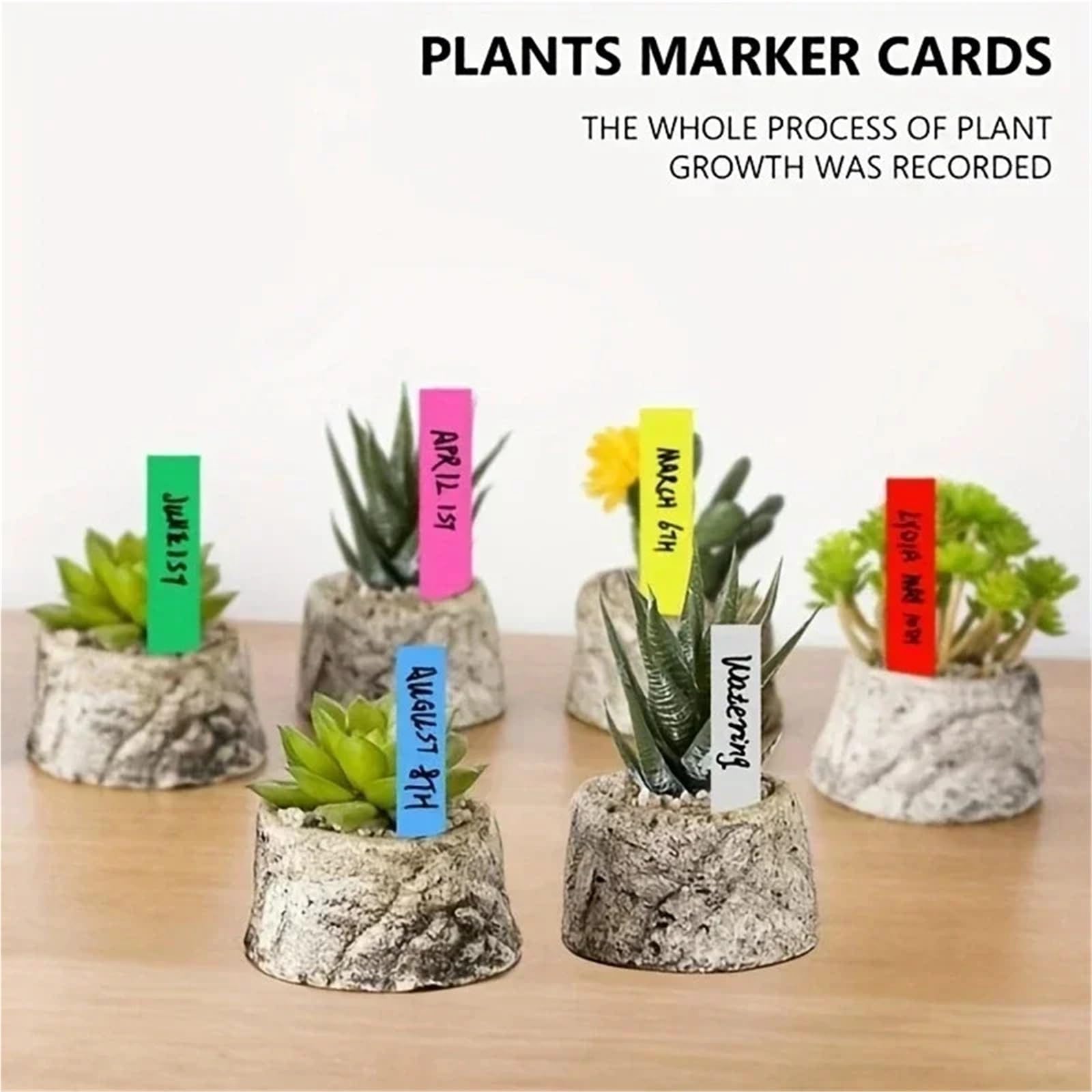 100 sztuk plastikowych etykiet na rośliny Łatwe wkładanie | Wodoodporne markery ogrodowe 5x1cm do warzyw, kwiatów, doniczek do użytku wewnątrz i na zewnątrz