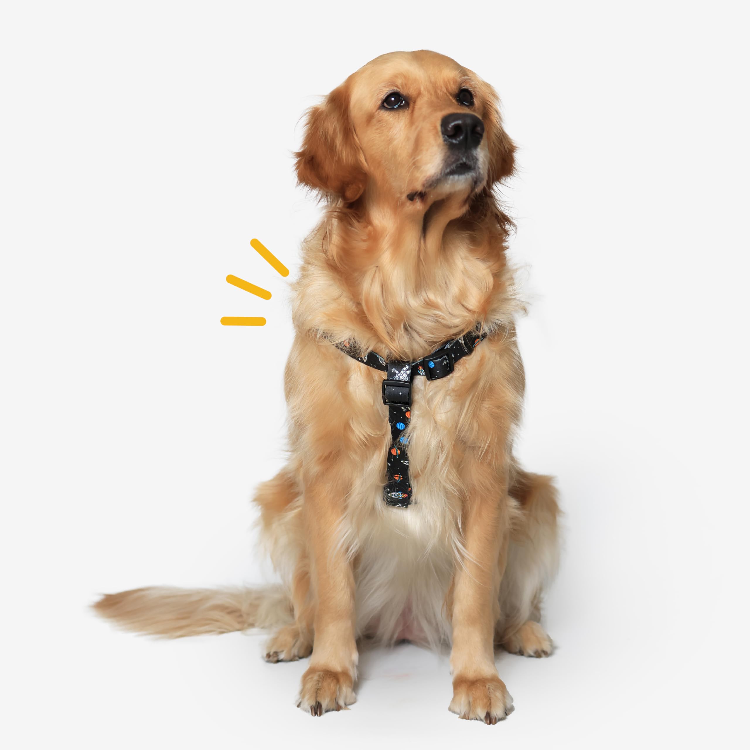 Bark Baskets Cosmic Canine Step-in Dog Harness – Large (21-30 kgs) | Adjustable, Soft No-Pull Dog Harness | Easy Wear Harness