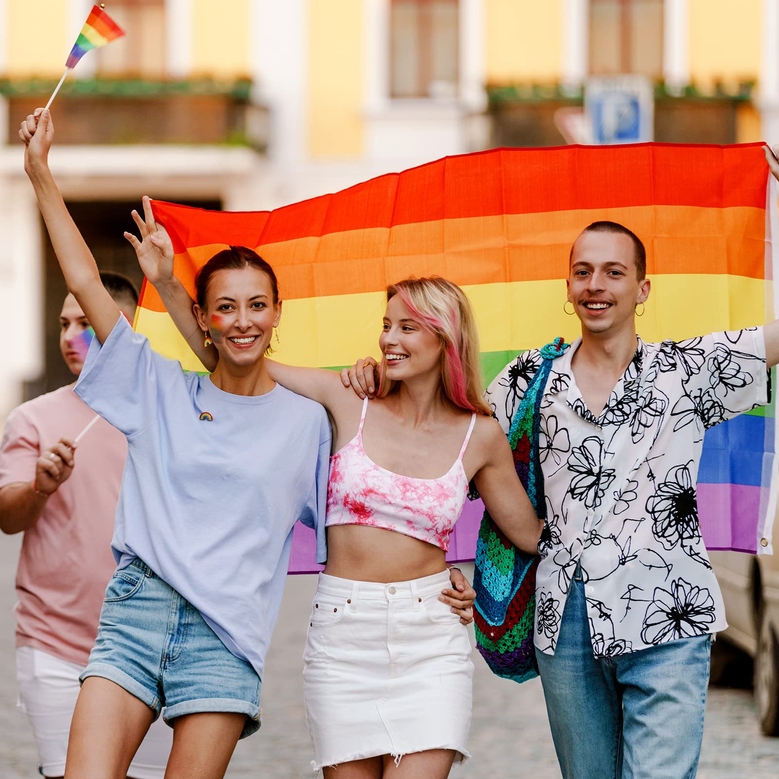 AhfuLife 1Pcs Bandiera Asessuale LGBTQ+ per il Pride Month,150 x 90 cm Bandiera Asexual Pride, Doppio Lato con Occhielli in Ottone per Parata del AhfuLife 1Pcs Bandiera Asessuale LGBTQ+ per il Pride Month,150 x 90 cm Bandiera Asexual Pride, Doppio Lato con Occhielli in Ottone per Parata del