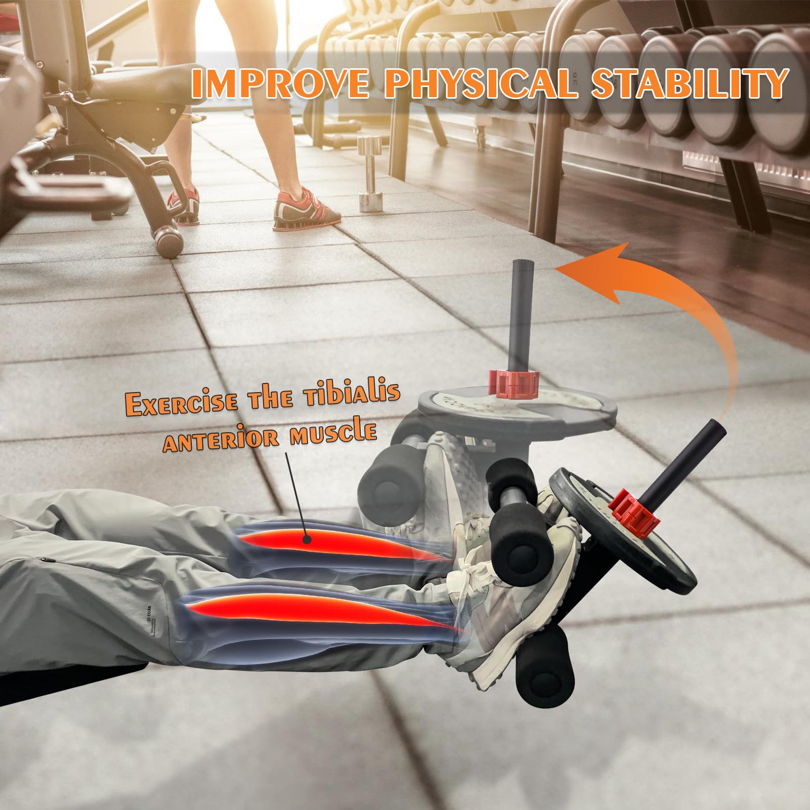 Snapklik.com : Tib Bar,Tibialis Trainer,Tibialis Bar,Leg Workout ...