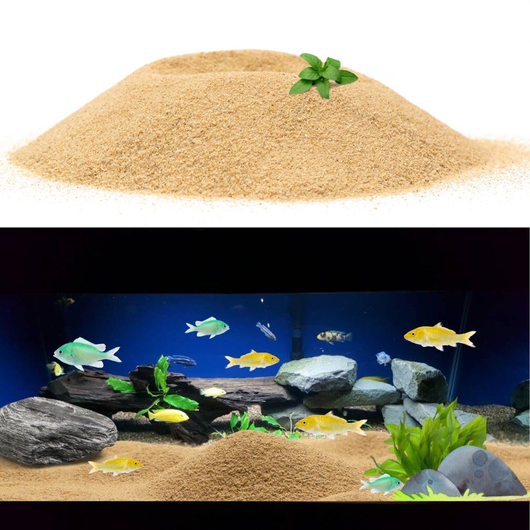 PetzLifeworld 2.5 Kg Natural Nile River Sand for Aquarium Fish Tank Enhance Your Aquarium with